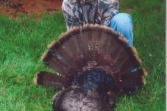 Jake Member Kevin Wolf (13) with his first bird: 23-1/2 pounds, 10-1/2 inch beard, and 1-3/8 inch spurs. Bagged in Washington County during 2009 Youth Season